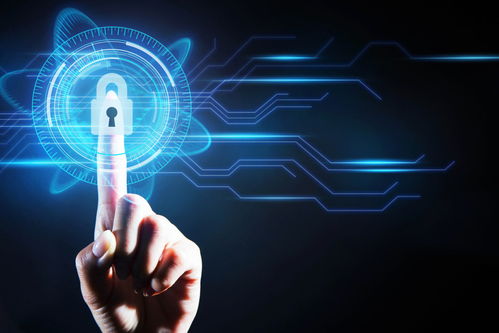 中小学应全面普及编程教育，软件开发能力培养刻不容缓